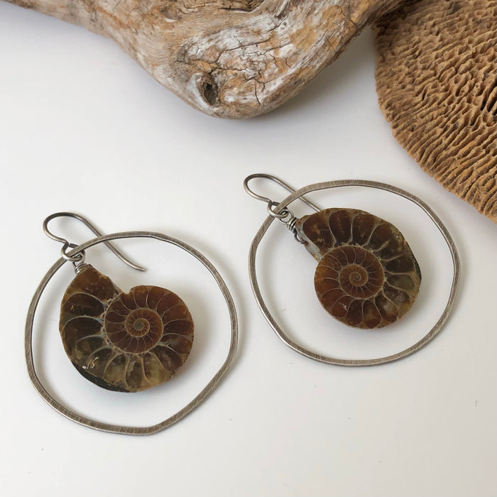 № 197 Fossilized Ammonite