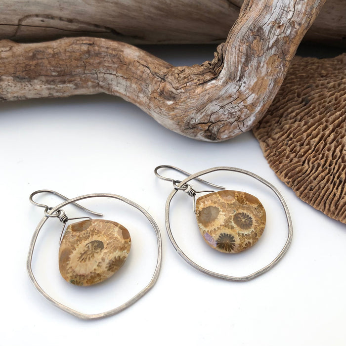 № 052 Fossilized Coral