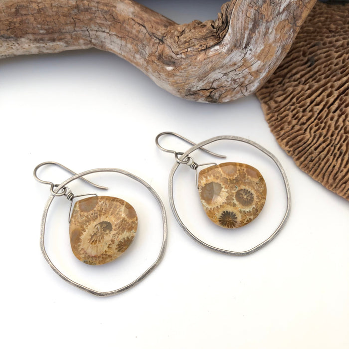 № 052 Fossilized Coral