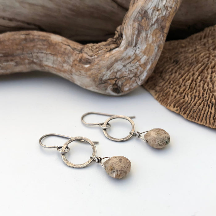 № 181 Fossilized Coral