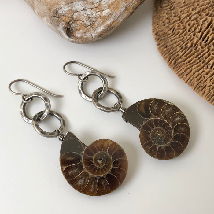 № 196 Fossilized Ammonite