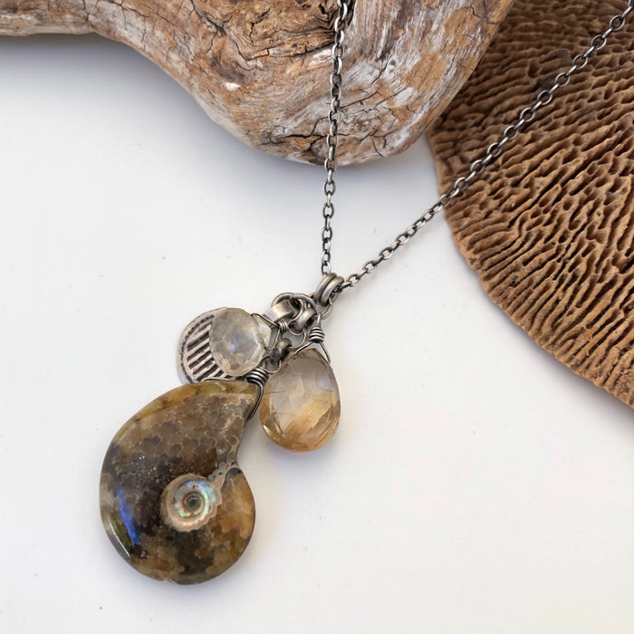 № 363 Ammonite & Rutilated Quartz