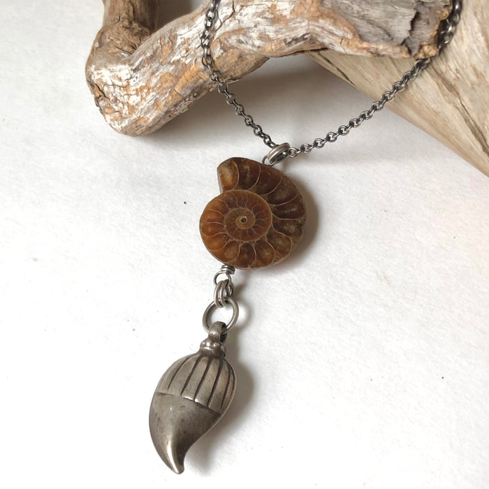 № 365 Fossilized Ammonite