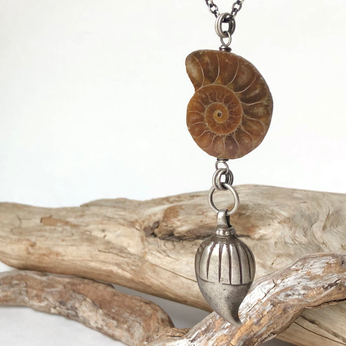 № 365 Fossilized Ammonite