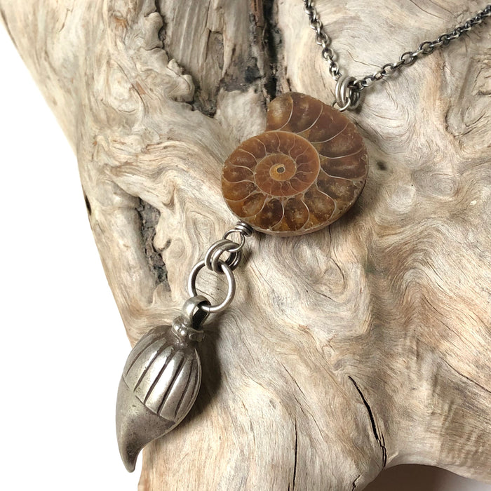 № 365 Fossilized Ammonite